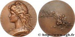 TROISIÈME RÉPUBLIQUE Médaille de récompense