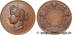 SOCIÉTÉS D&nbsp;AGRICULTURE, HORTICULTURE, PÊCHE ET CHASSE Médaille, Société d’agriculture
