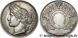 SOCIÉTÉS D&nbsp;AGRICULTURE, HORTICULTURE, PÊCHE ET CHASSE Médaille, Comice agricole
