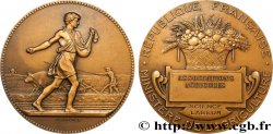 TERCERA REPUBLICA FRANCESA Médaille, Associations agricoles
