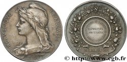 SOCIÉTÉS D AGRICULTURE, HORTICULTURE, PÈCHE ET CHASSE Médaille, Exposition fruitière