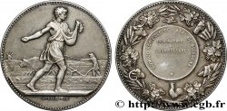 TROISIÈME RÉPUBLIQUE Médaille, Comice agricole, Encouragement