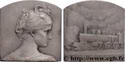 TRANSPORTS (TRAINS, BUS, TRAMWAYS, BATEAUX...) Plaquette, Compagnie des chemins de fer du midi