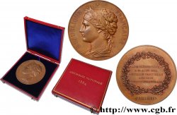 TERZA REPUBBLICA FRANCESE Médaille, Révision partielle des lois constitutionnelles