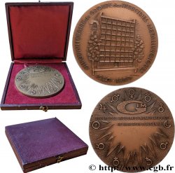 FUNFTE FRANZOSISCHE REPUBLIK Médaille, Cinquantenaire du groupe des industries métallurgiques