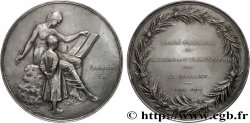BELGIQUE - ROYAUME DE BELGIQUE - ALBERT Ier Médaille, Comité provincial de secours et d’alimentation pour le Brabant