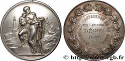 DRITTE FRANZOSISCHE REPUBLIK Médaille, Société des sauveteurs de la Seine, Prix Lapicida