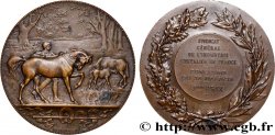 TROISIÈME RÉPUBLIQUE Médaille, Syndicat général de l’industrie chevaline de France, Concours, 2e prix