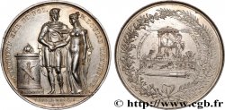 PREMIER EMPIRE Médaille de mariage, Napoléon Ier et Marie-Louise d’Autriche TTB+
