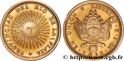 
SERIE DE 1 MILLÓN DE DÓLARES Médaille, Reproduction d’une monnaie, 8 Escudos d’Argentine