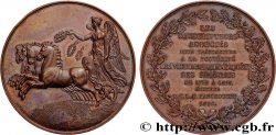 LOUIS XVIII Médaille, Postérité des Victoires Napoléoniennes