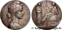 TROISIÈME RÉPUBLIQUE Médaille parlementaire, Charles Beauquier TTB+
