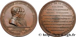 CONSULAT Médaille, Colonne Départementale
