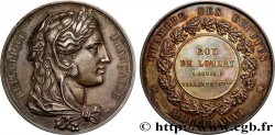TROISIÈME RÉPUBLIQUE Médaille parlementaire, Ire législature, Louis Roy de Loulay TTB+/SUP