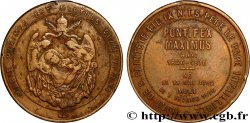 ITALIE - ÉTATS DU PAPE - PIE IX (Jean-Marie Mastai Ferretti) Médaille, Décès du Saint Père