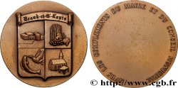 GENERAL, DEPARTEMENTAL OR MUNICIPAL COUNCIL - ADVISORS Médaille, Brand-et-Saint-Louis