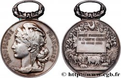 TROISIÈME RÉPUBLIQUE Médaille, Société d’agriculture de Lisieux