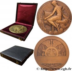 BANQUES - ÉTABLISSEMENTS DE CRÉDIT Médaille, Banque de l’Union parisienne
