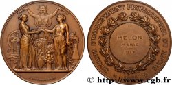 TROISIÈME RÉPUBLIQUE Médaille, Société d’enseignement professionnel du Rhône