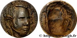 ARTISTES : MUSICIENS, PEINTRES, SCULPTEURS Plaque, Schubert 