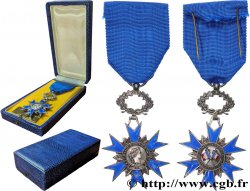 V REPUBLIC Médaille, Ordre National du mérite, chevalier