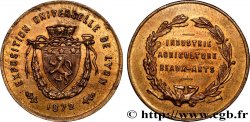 LYON AND THE LYONNAIS AREA (JETONS AND MEDALS OF...) Médaille, Exposition Universelle