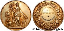 AGRICULTURAL, HORTICULTURAL, FISHING AND HUNTING SOCIETIES Médaille, Société d’horticulture