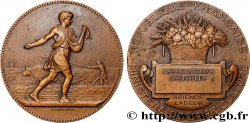 TERZA REPUBBLICA FRANCESE Médaille de récompense, Associations agricoles