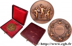 TROISIÈME RÉPUBLIQUE Médaille, Association polytechnique