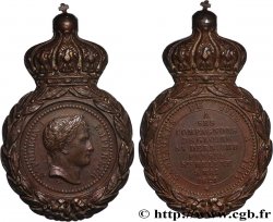 NAPOLEON S EMPIRE Médaille de Sainte-Hélène