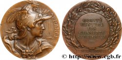 ASSOCIATIONS PROFESSIONNELLES - SYNDICATS Médaille, Comité central des chambres syndicales