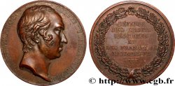 LOUIS-PHILIPPE Ier Médaille, Pierre Antoine Berryer