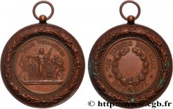 TIR ET ARQUEBUSE Médaille, Tireurs bordelais