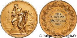 III REPUBLIC Médaille, Société des sauveteurs de la Seine, Prix du président