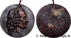 LITTÉRATURE : ÉCRIVAINS/ÉCRIVAINES - POÈTES Large médaille, Voltaire