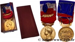 QUINTA REPUBLICA FRANCESA Médaille d’honneur du travail, Ministère du travail et de la sécurité sociale, Or