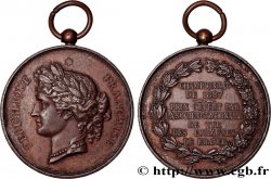III REPUBLIC Médaille, Société nationale de tir des communes de France