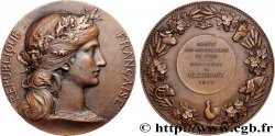 DRITTE FRANZOSISCHE REPUBLIK Médaille, Comice d’encouragement à l’agriculture et à l’horticulture