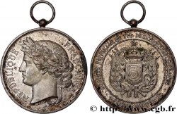 TIR ET ARQUEBUSE Médaille d’honneur, Société Nationale du Tir des communes de France