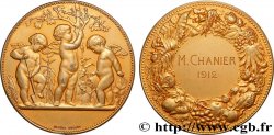 TERCERA REPUBLICA FRANCESA Médaille de récompense