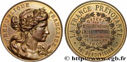 ASSURANCES Médaille, La France Prévoyante