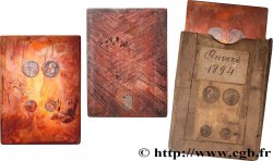 BELGIQUE - ROYAUME DE BELGIQUE - LÉOPOLD II Plaque en cuivre, eau-forte XF