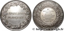 DRITTE FRANZOSISCHE REPUBLIK Médaille, Service des épidémies