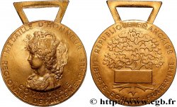 QUINTA REPUBBLICA FRANCESE Médaille d’Honneur communale, régionale, départementale