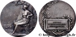 TERZA REPUBBLICA FRANCESE Médaille, Union d’enseignement professionnel