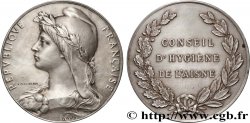 MÉDECINE - SOCIÉTÉS MÉDICALES - MÉDECINS/CHIRURGIENS - ASSISTANCE PUBLIQUE Médaille, Conseil d’hygiène de l’Aisne