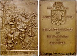 SUISSE Plaquette, Tir de l’escalade