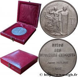 INDUSTRIE LOURDE Médaille de récompense, Union des industries chimiques