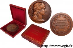 III REPUBLIC Médaille, Préparation militaire, prix offert