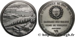 V REPUBLIC Médaille, Société des mines et fonderies de zinc